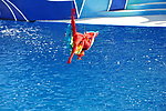 海洋馆节目表演