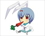 兔子