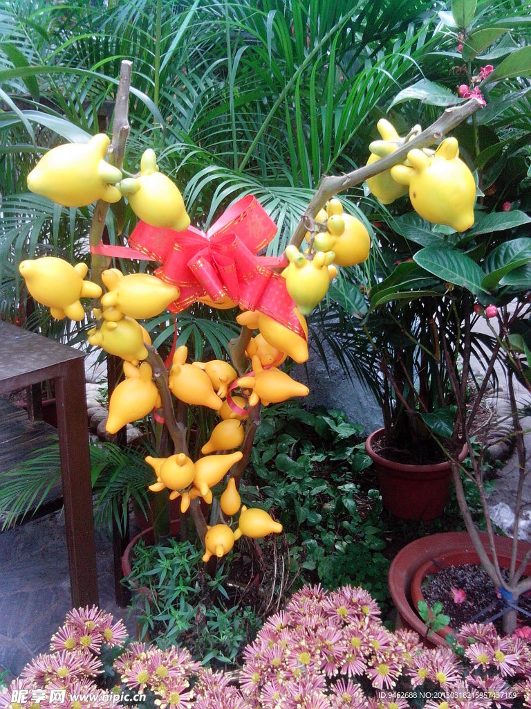 黄花