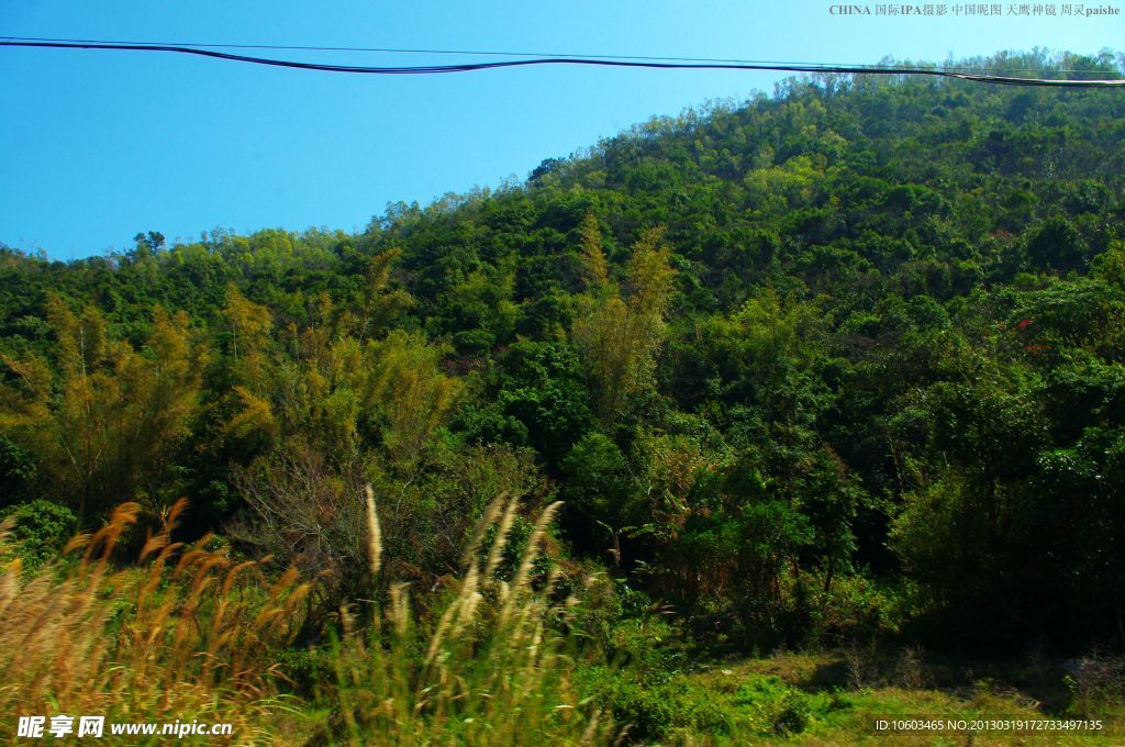 龙岗南澳一路风景山水