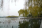 大明湖