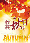 秋天海报