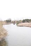 沙家浜