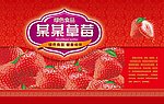 草莓包装箱