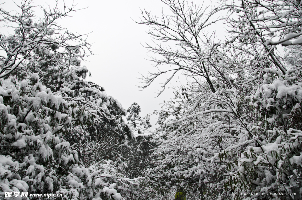 雪景