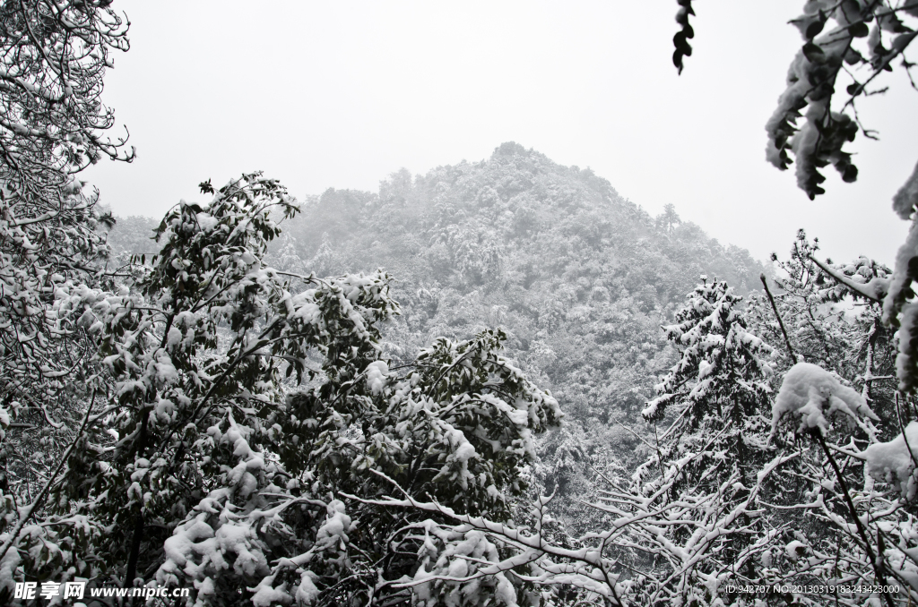 雪景