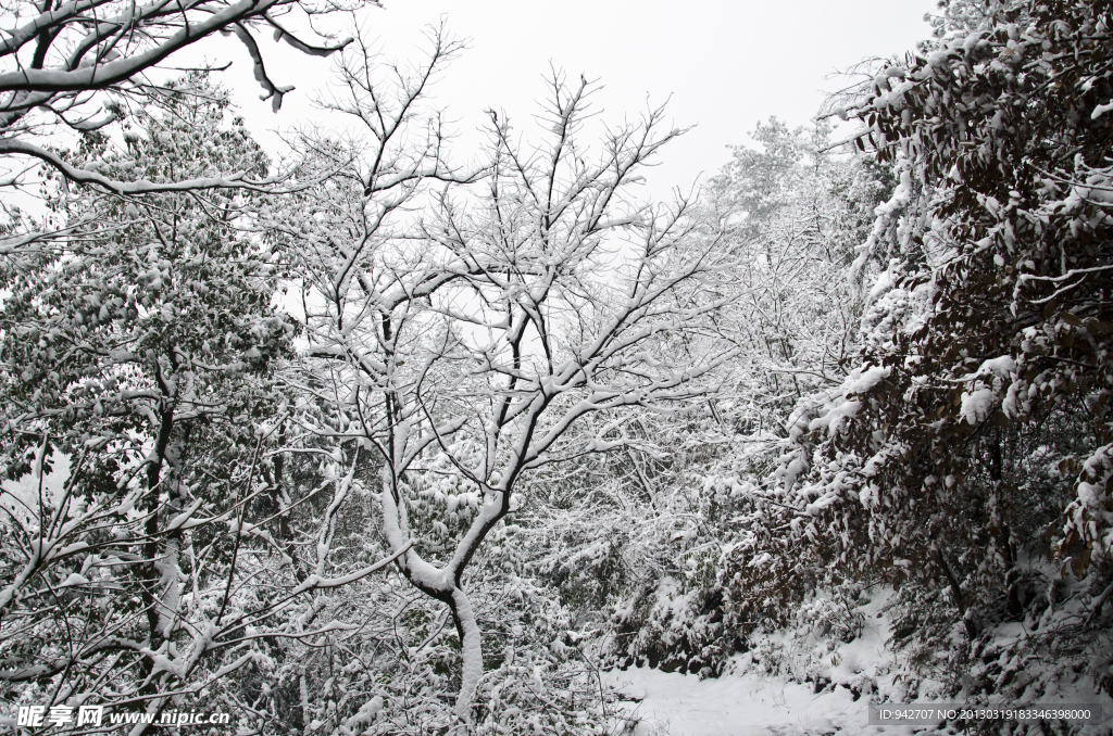 雪景