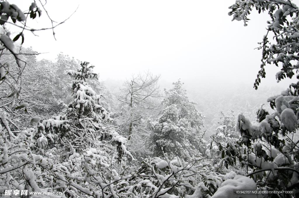雪景