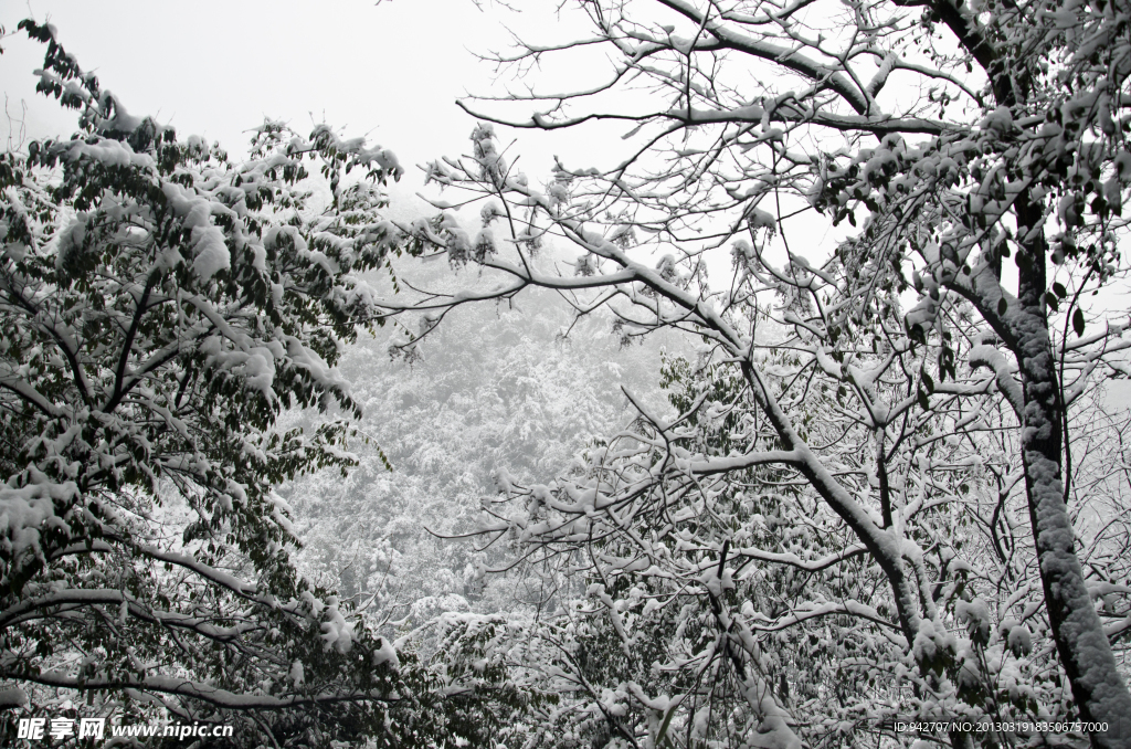 雪景