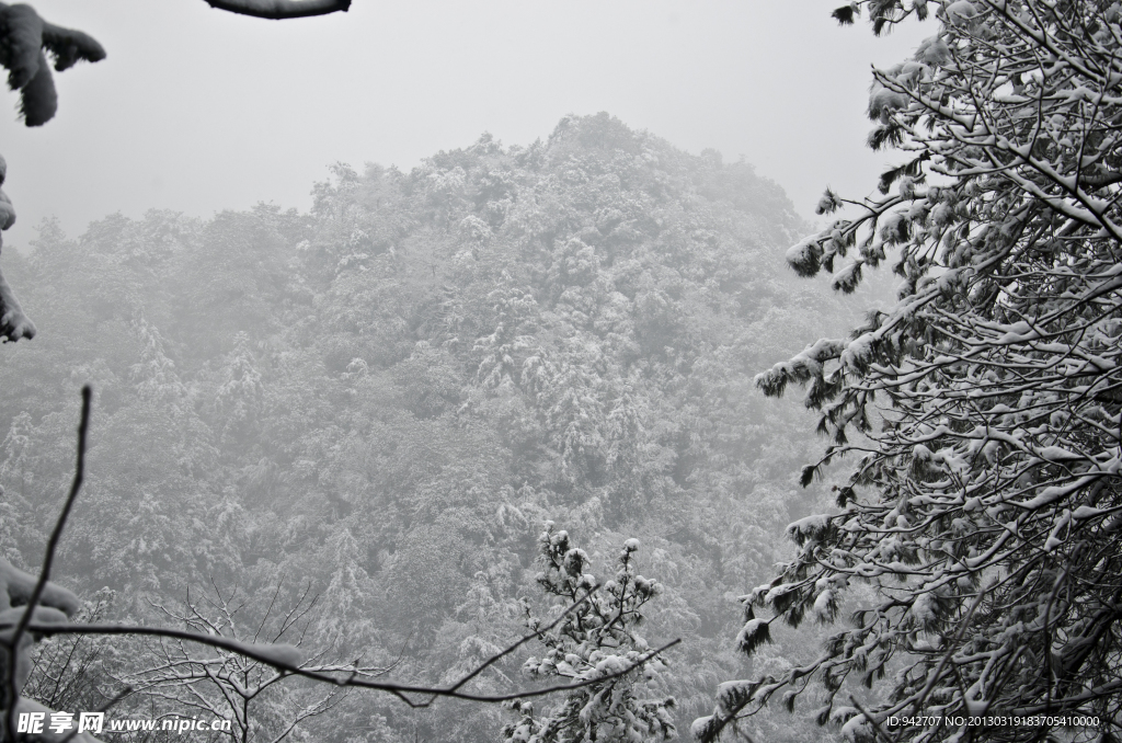 雪景