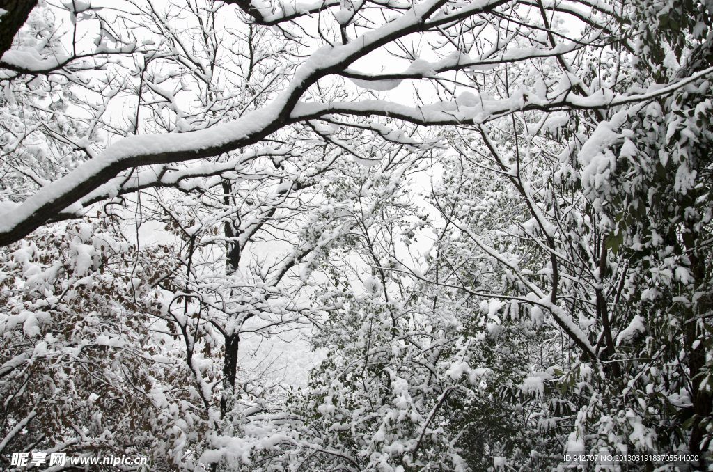 雪景