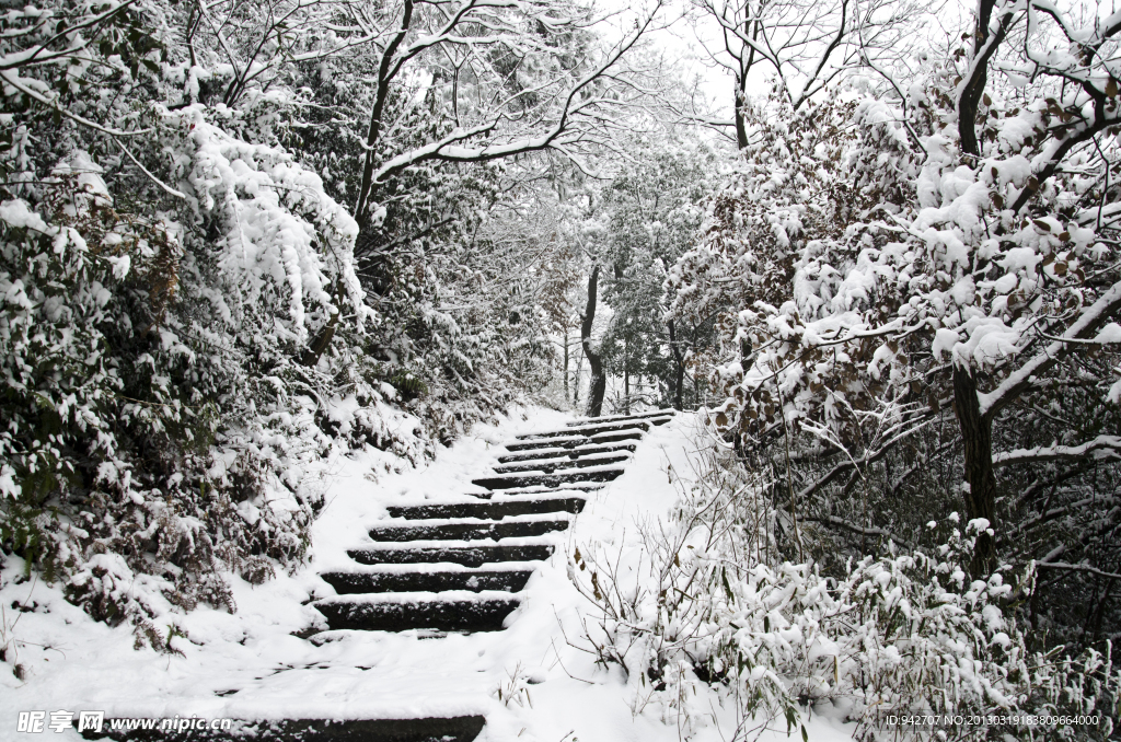 雪景