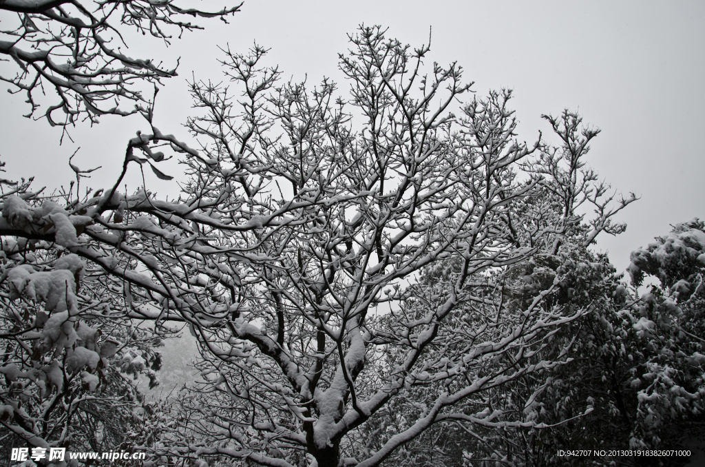 雪景