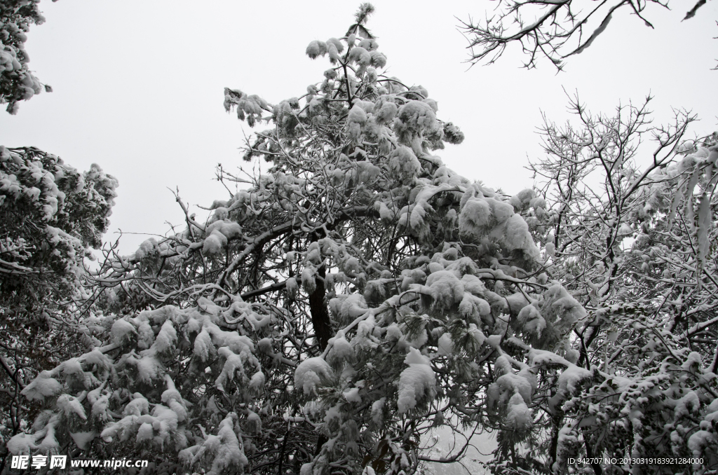 雪景