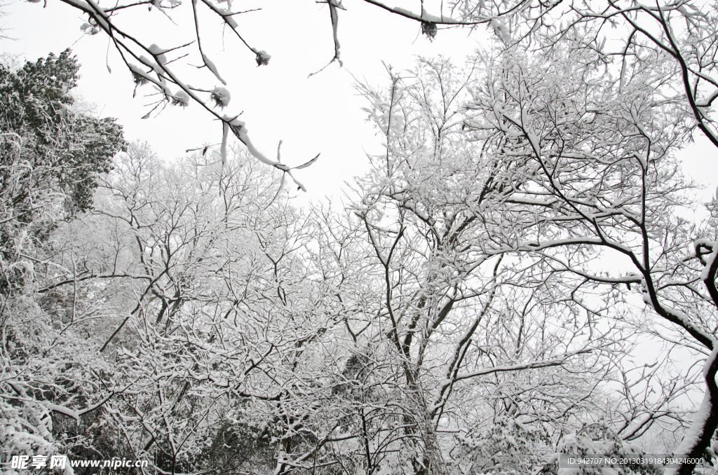 雪景