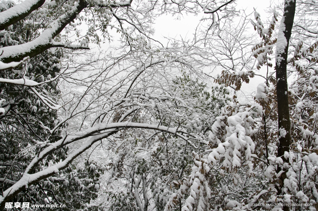 雪景