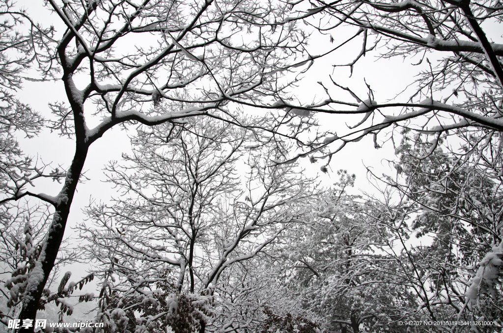 雪景