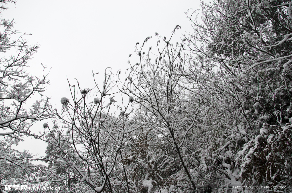 雪景