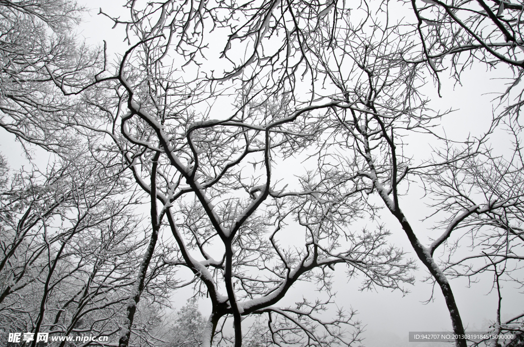 雪景