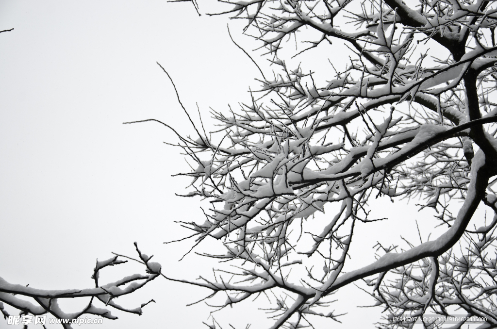 雪景 积雪