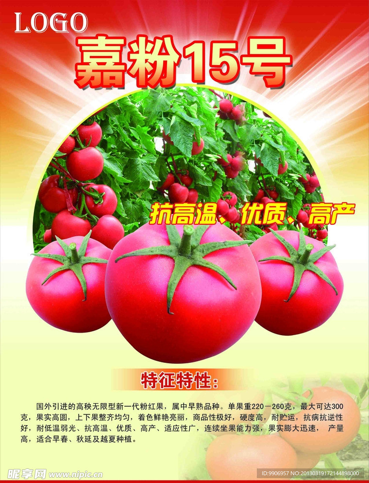 西红色彩页