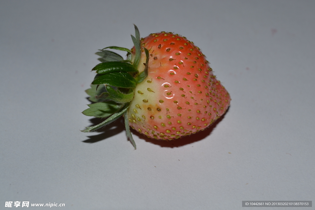 草莓