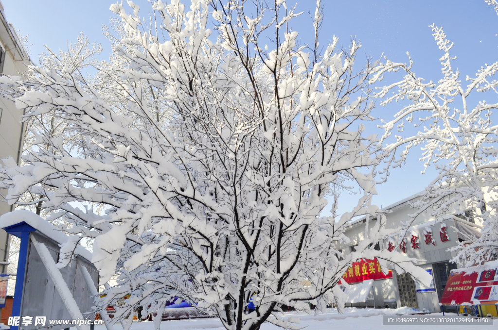 雪景