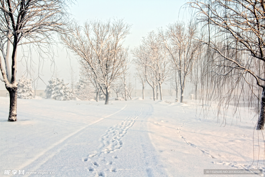 雪景