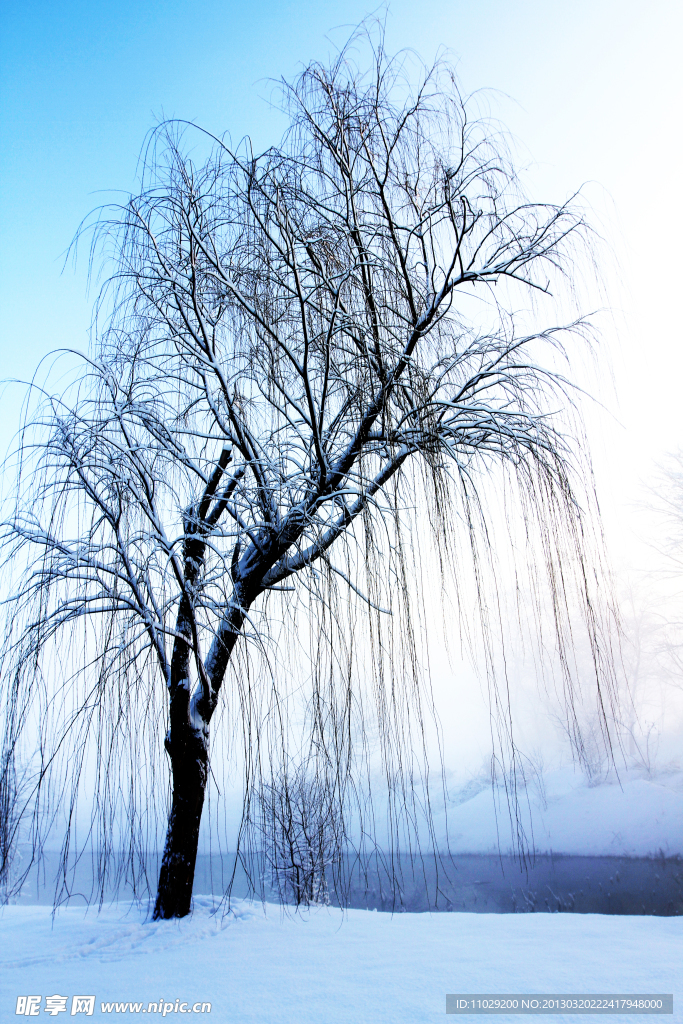 雪景