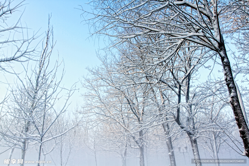 雪景