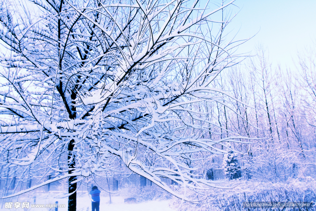 雪景