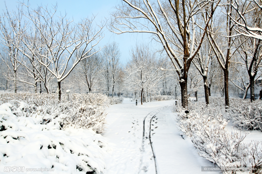 雪景