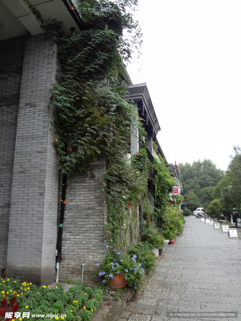 亲年旅社
