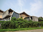 中国美院