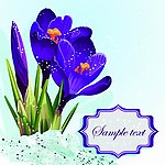 梦幻花纹花朵 花卡
