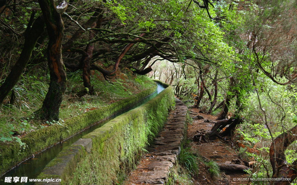 张家界风景 森林