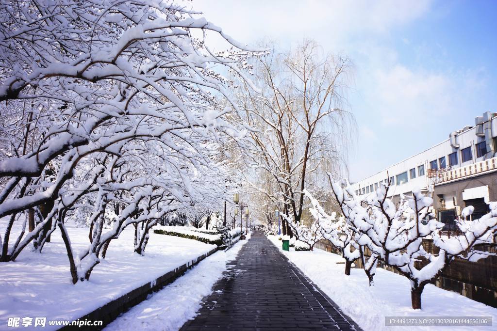 雪色元大都