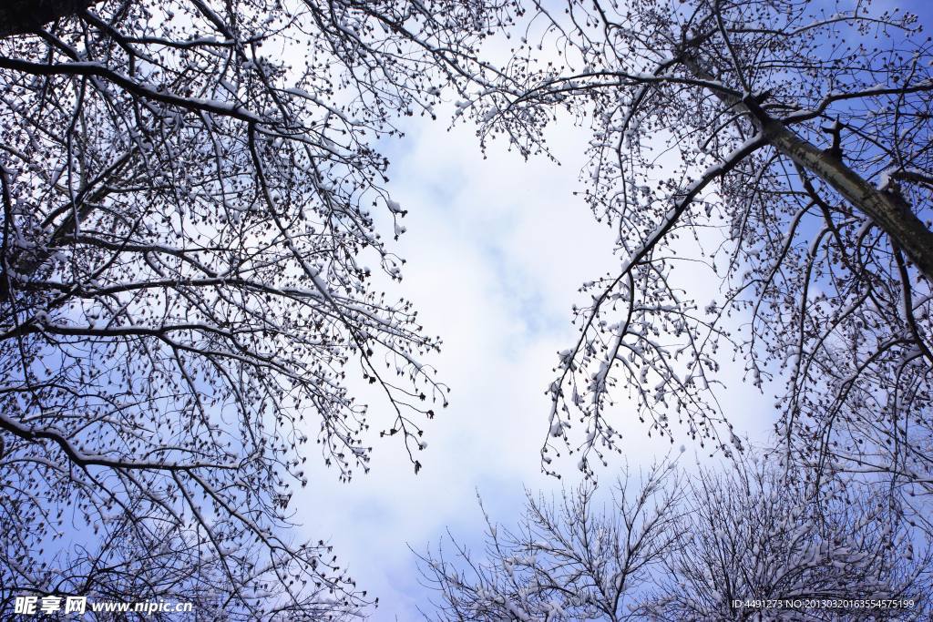 天空之城 雪景