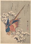 浮世绘