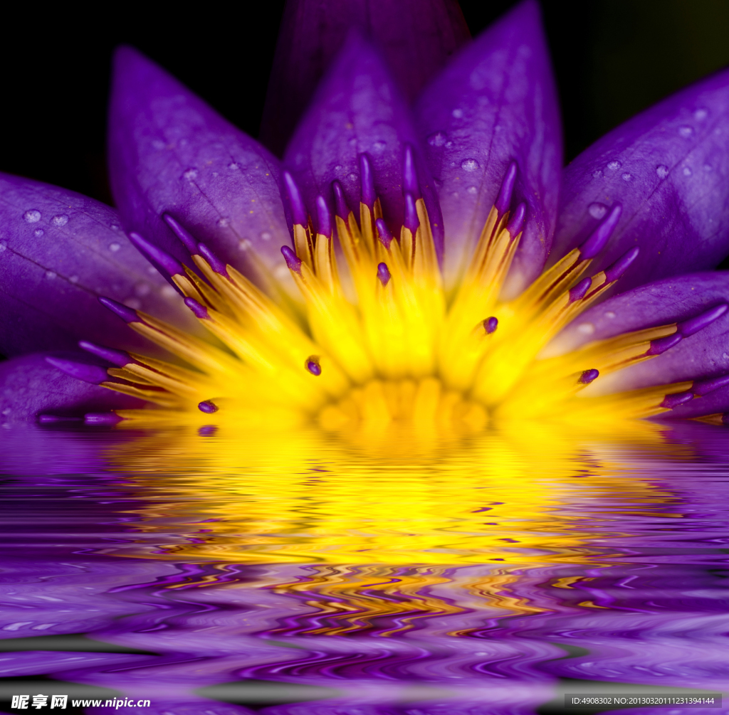 鲜花