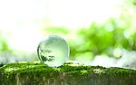 水珠