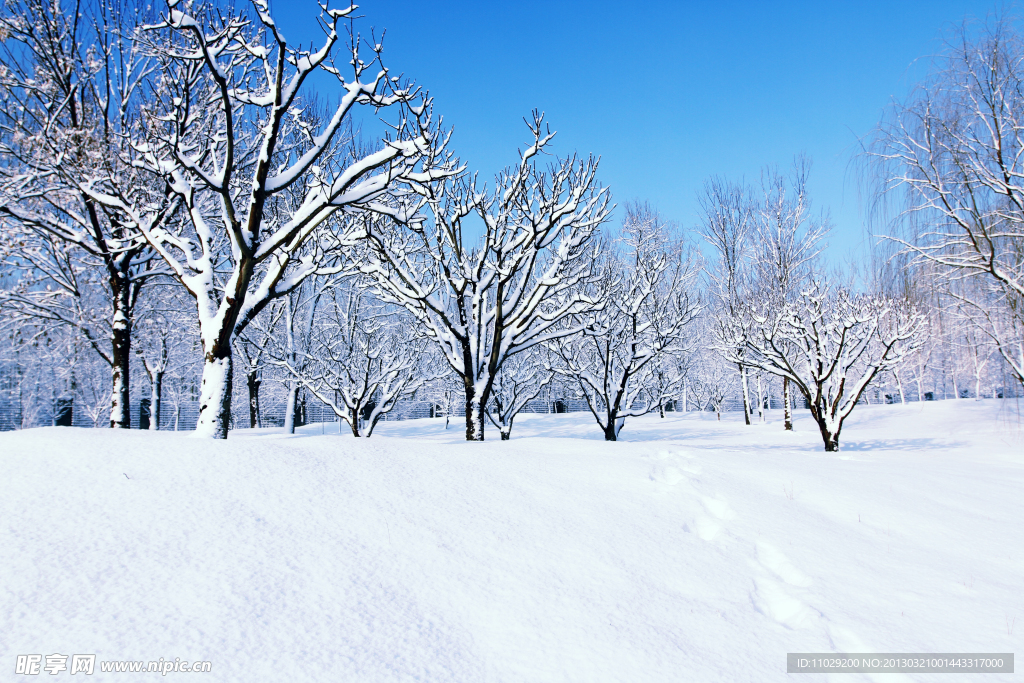 雪景