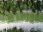 湖美景