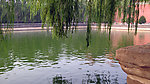 公园湖水