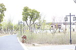 沙家浜