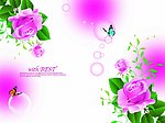 花色世界