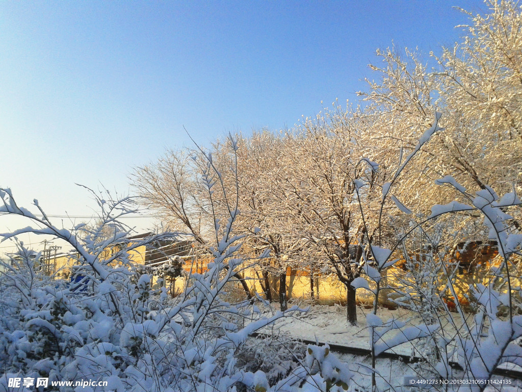 春雪 雪景