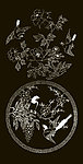 团花