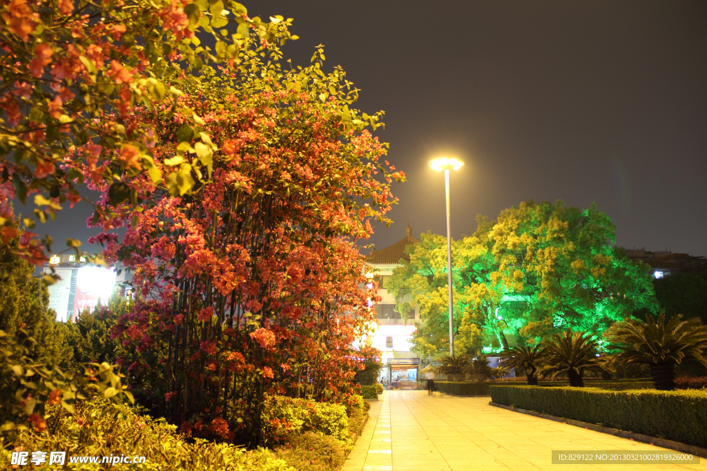公园夜景
