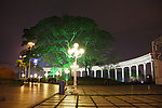 公园夜景